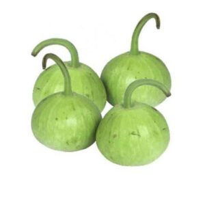 Lauki-Gol-Bottle-Gourd-Roun_large.jpg