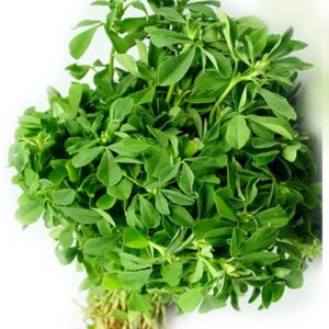 fenugreek-MAITHI.jpg