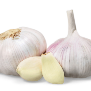 garlic.png