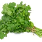 herb-coriander.jpg