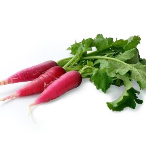 red-Radish-Pink.jpg