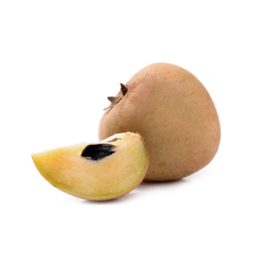 vega-sapodilla-1.png