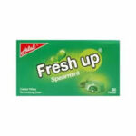 Hilal-Fresh-up-Spearmint-Bubble-Gum–Pack-of-36-Chewing-Gum.jpeg